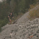 LEKI Bastoncini Ultratrail  FX.One Superlite Neonpink